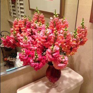 Meet your Posher, Rhona